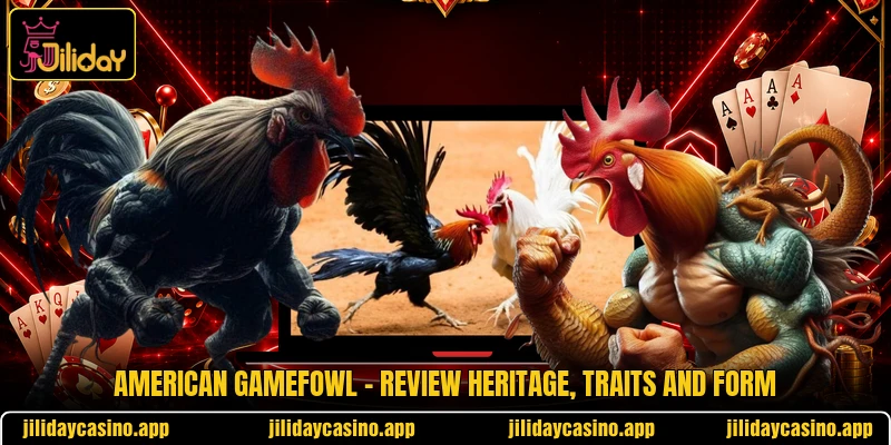 American Gamefowl - Review Heritage, Traits And Form