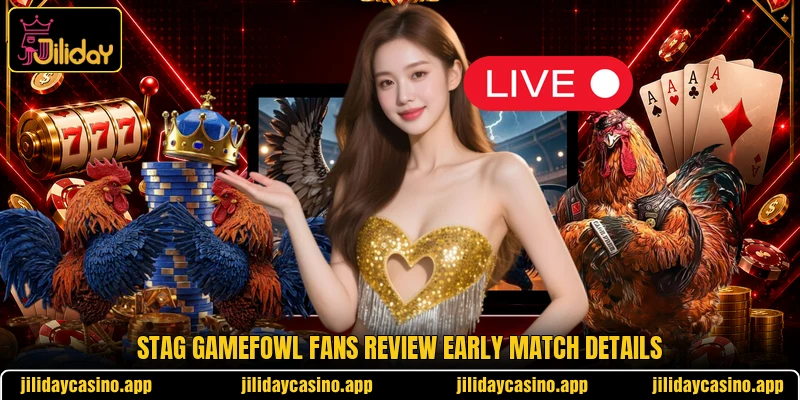 Stag Gamefowl fans review early match details Stag Gamefowl fans review early match details